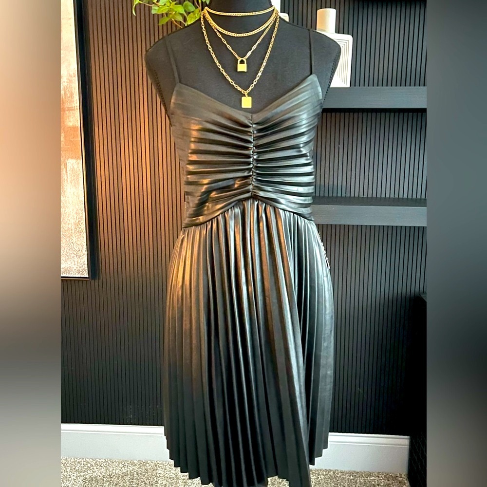 Express Leather Pleated Mini Dress